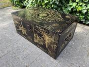 Chinese Trunk