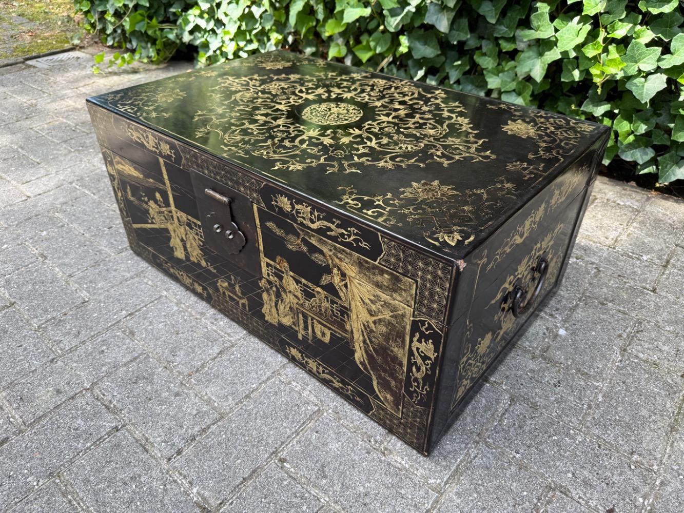 Chinese Trunk