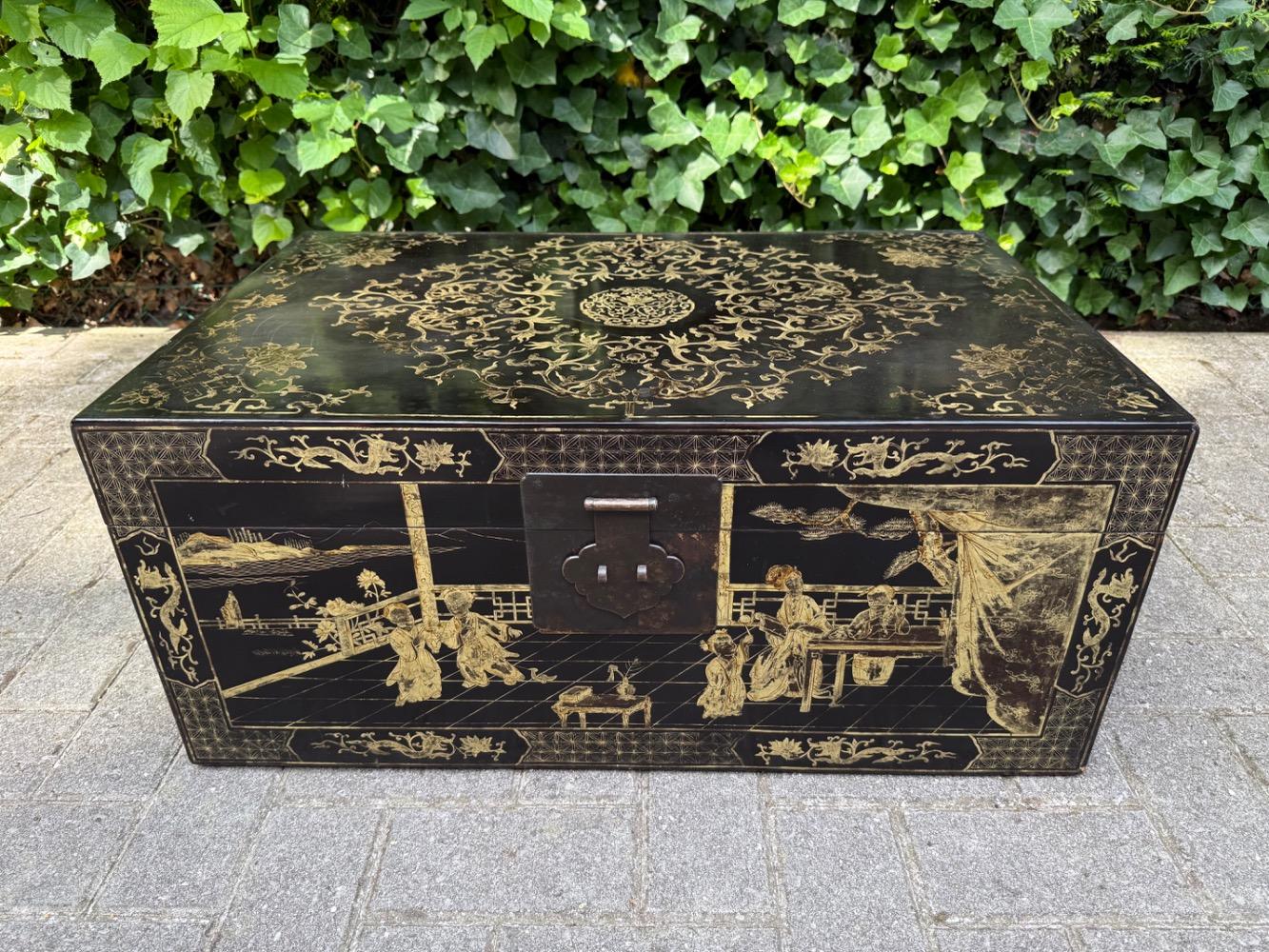 Chinese Trunk