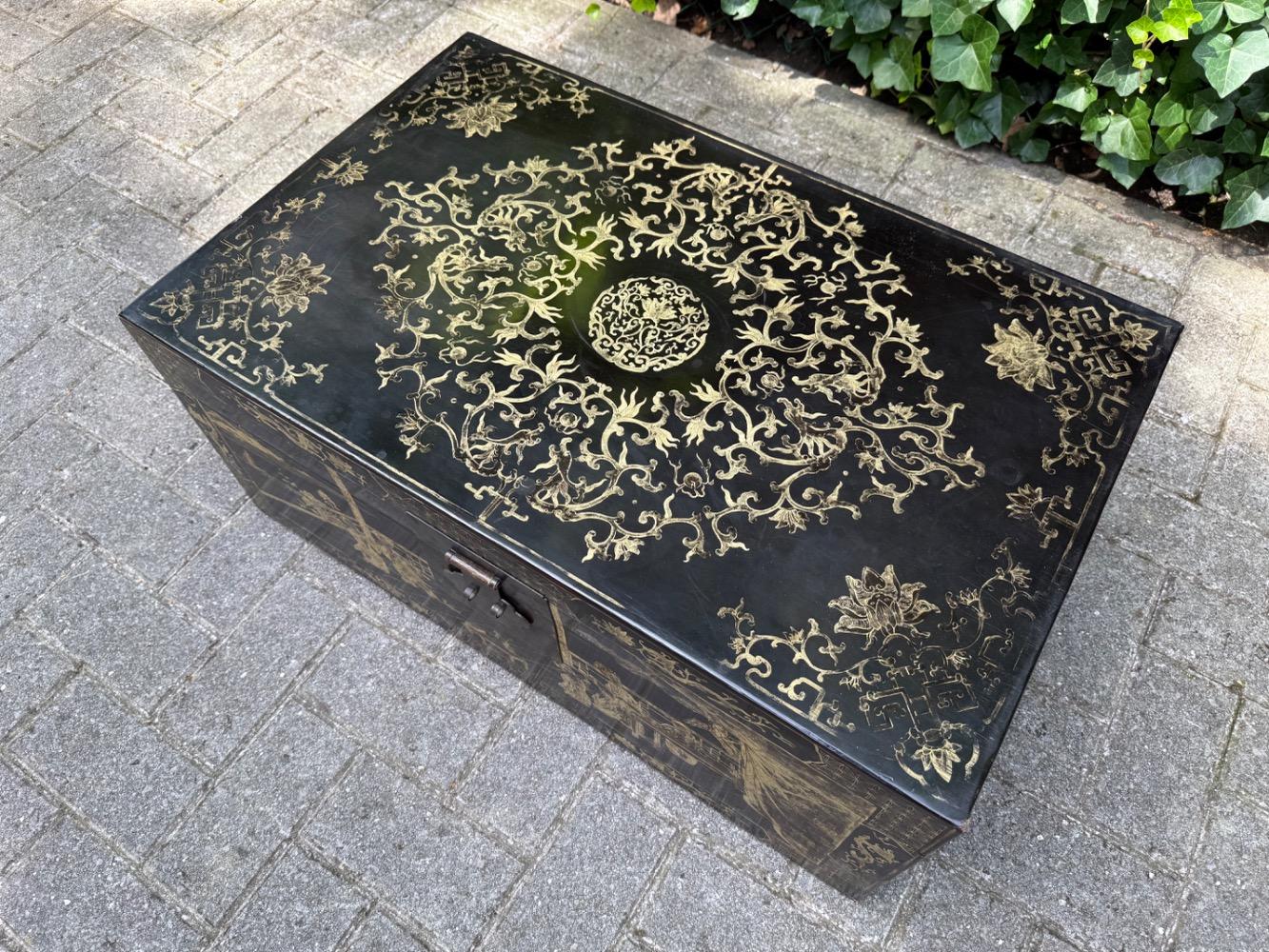 Chinese Trunk