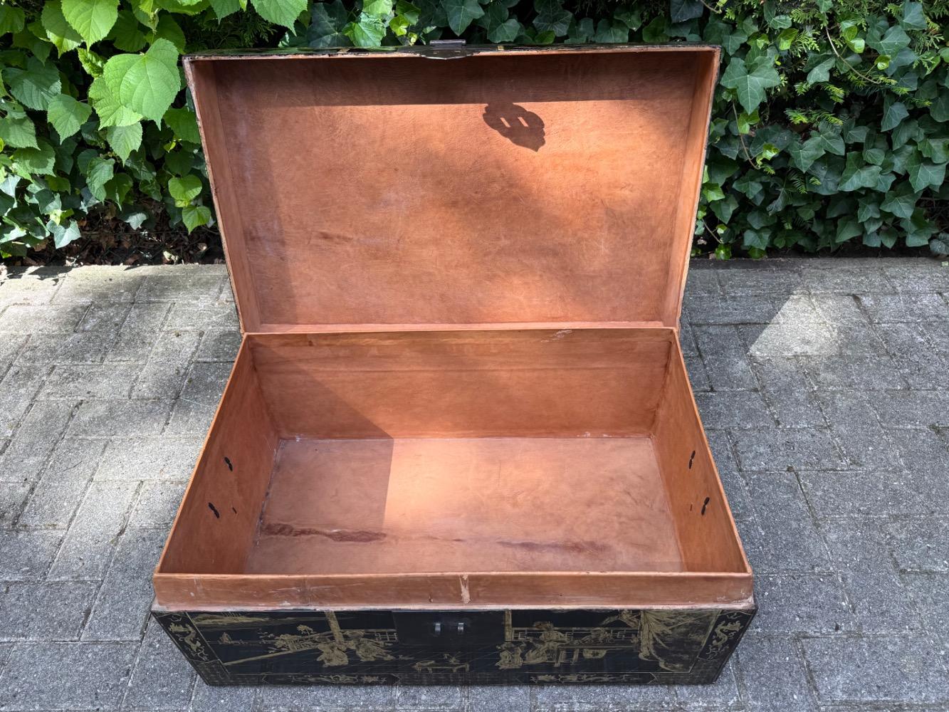 Chinese Trunk