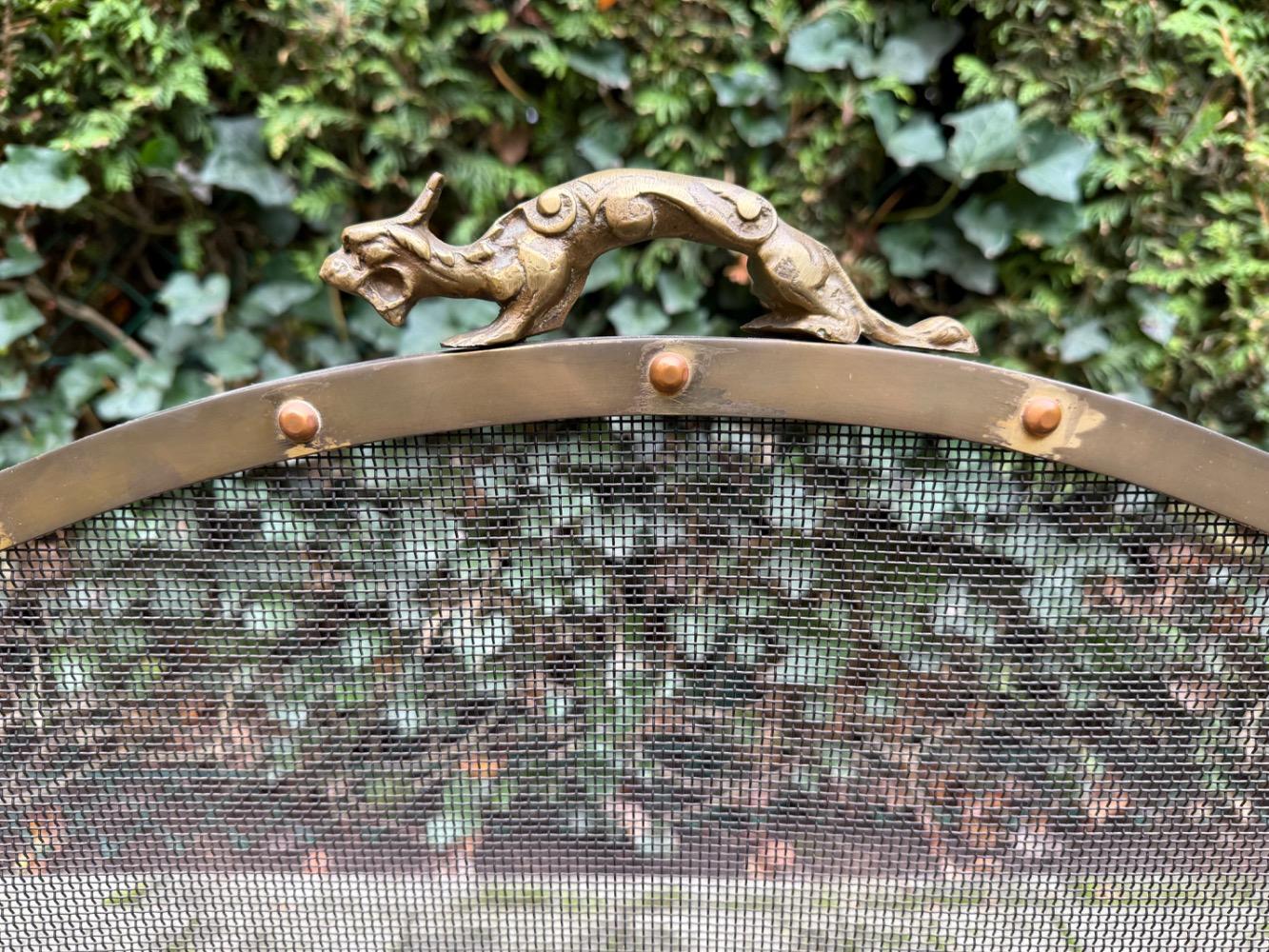 Fire screen with end irons 