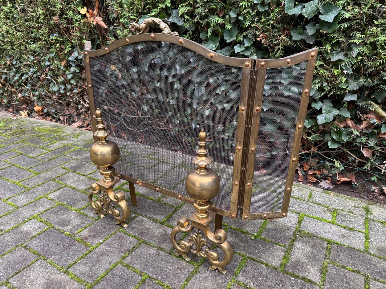 Fire screen with end irons 