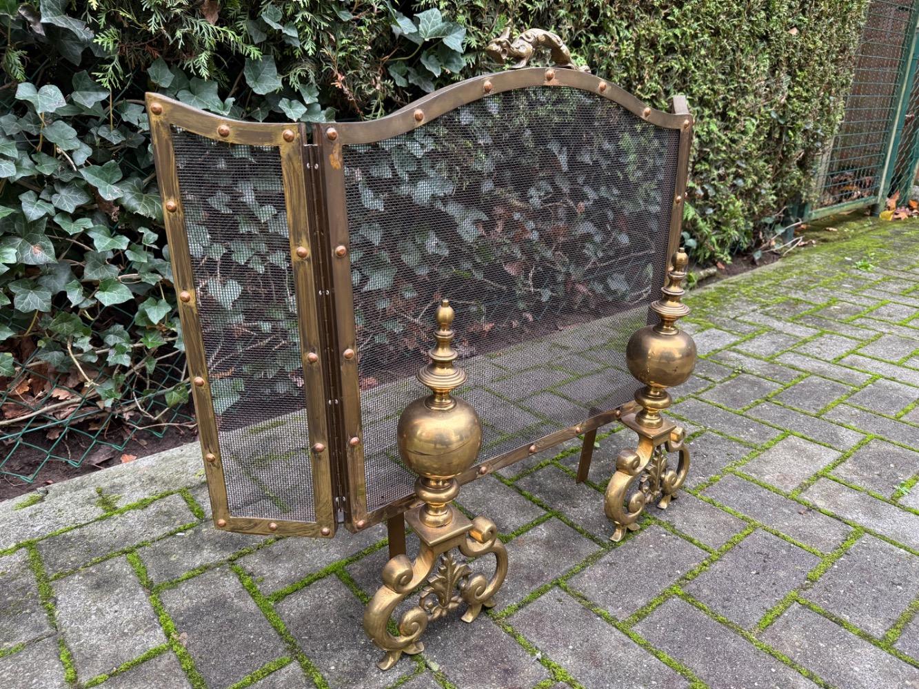 Fire screen with end irons 