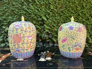 Pair of ginger pots