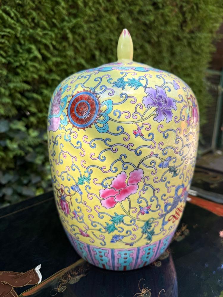 Pair of ginger pots