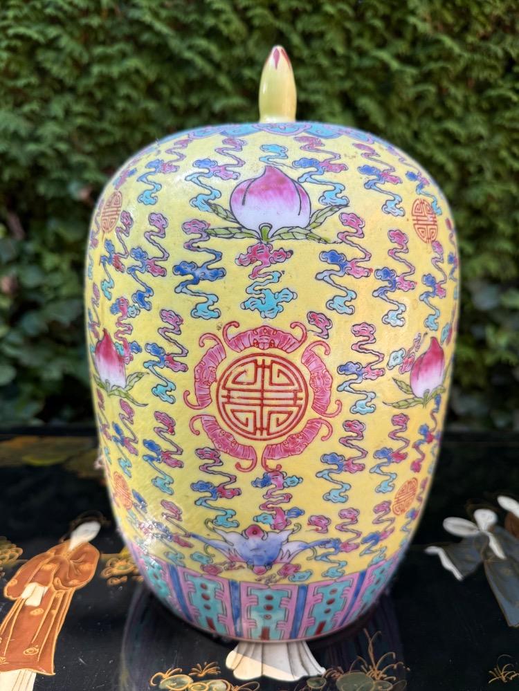 Pair of ginger pots